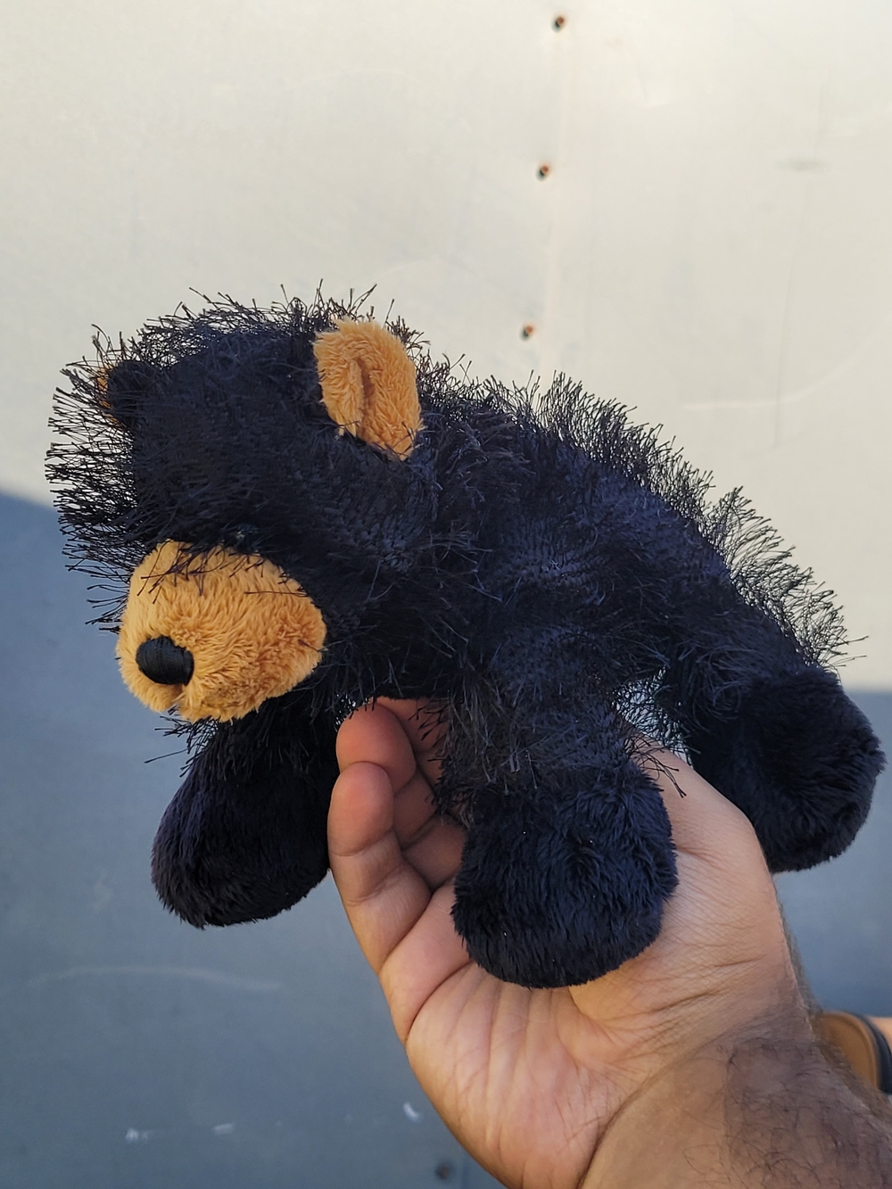 Ganz Webkinz BLACK BEAR HM004 Plush Stuffed Animal No Code #webkinz #blackbear